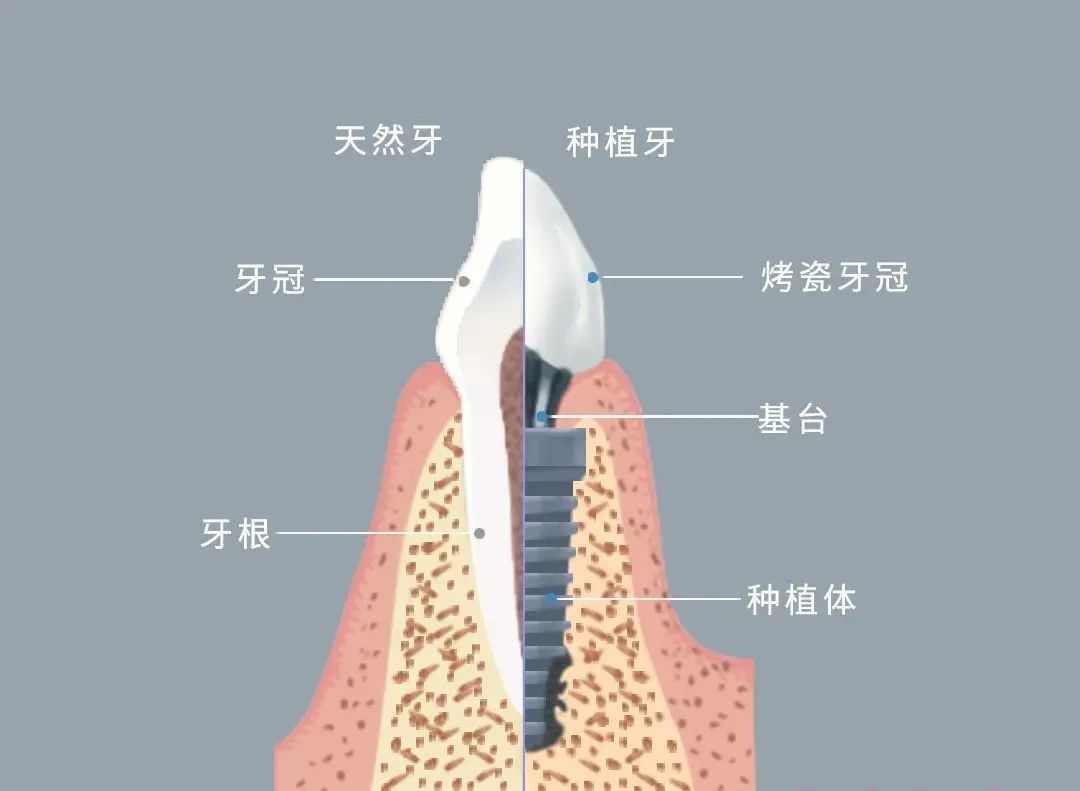 微信图片_20221111170526.jpg